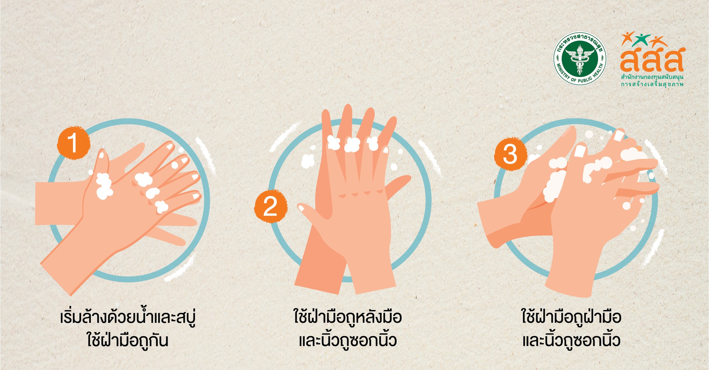 เทคนิคล้างมือให้ห่างไกล-ไวรัสโควิด-19 thai-herbs.thdata.co | เทคนิคล้างมือให้ห่างไกล-ไวรัสโควิด-19 สรรพคุณ สมุนไพร ไทย 